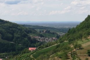 d7595db2221800b3967bc0073c49f47584e4bf863a18caf2f5be961235b2e1ff