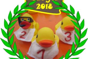 2019-7-5-32-OH-VdK-Entenrennen-Siegeremblem 2018 für 2019