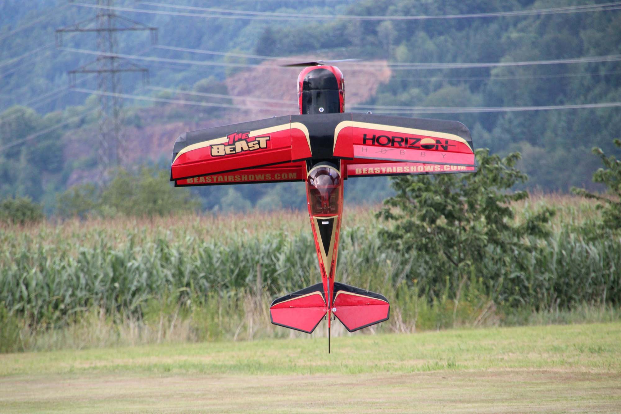 2019-7-8-BI-Modellfliegergruppe Grashüpfer Biberach-Freundschaftsfliegen 13-7-2019-IMG_6925