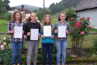 2019-7-8-BI-PB-Melanie Haas-Bläserjugend-Musikerleistungsabzeichen-bild 1