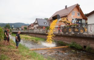 2.000 quietschgelbe Enten lieferten sich ein spannendes Rennen