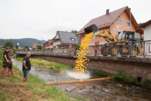 2019-7-8-OH-kal-VdK Entenrennen 2019-zvkIMG_9123b