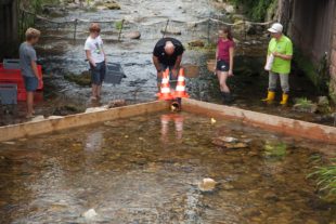 2019-7-8-OH-kal-VdK Entenrennen 2019-zvkIMG_9139b