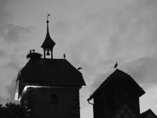 Zell bleibt wohl Heimat für Wenige