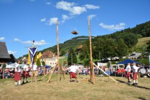 2019-8-12-BI-PB-hps-Highland Games-DSC_8952 2