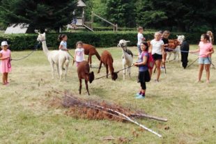 2019-8-12-NO-Gabi und Waldemar Neumayer- Ferienprogramm Alpakawanderung IMG_0624