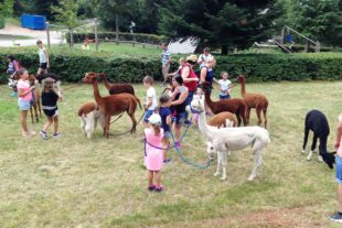 2019-8-12-NO-Gabi und Waldemar Neumayer- Ferienprogramm Alpakawanderung IMG_0625
