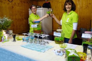 2019-8-23-OH-bia-Heimatsommer-+ Stark-Verein