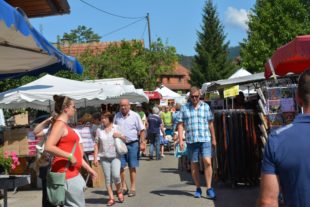 2019-8-5-ZE-UE-hps-Kilwi Unterentersbach-DSC_8623 2