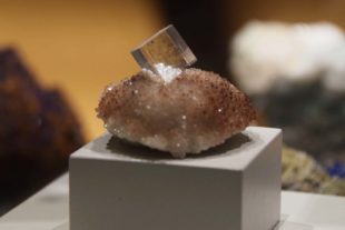 2019-8-7-NO-hv-Sommerferienprogramm BW und Bücherei-DSC_0657