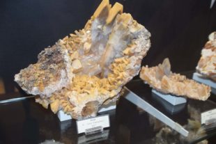 2019-8-7-NO-hv-Sommerferienprogramm BW und Bücherei-DSC_0660