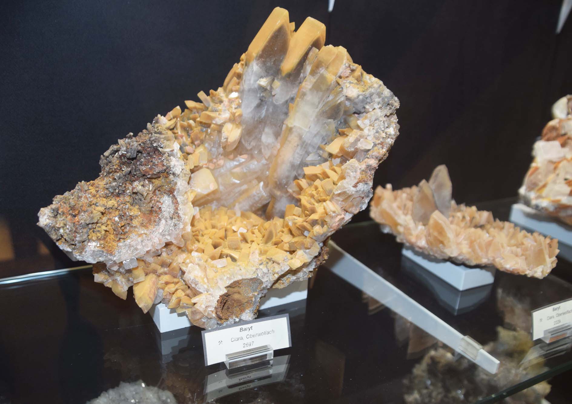 2019-8-7-NO-hv-Sommerferienprogramm BW und Bücherei-DSC_0660