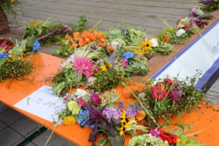 2019-8-9-BI-Cameron Bieri-Landfrauen Prinzbach-Schönberg-DSC_5754