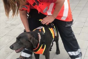 2019-9-13-BI-privat-DRK Rettnungshundestaffel-IMG_7828