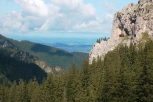 2019-9-2-NO-DAV-Ammergauer Alpen SAM_1844