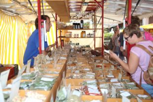 2019-9-2-OH-kal-Kilwi Oberharmersbach 2019-vkMG8A2156