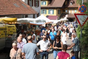 2019-9-2-OH-kal-Kilwi Oberharmersbach 2019-vkMG8A2200