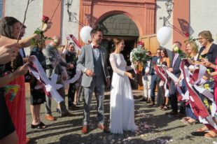 Rosenblüten, Sonne und Musik