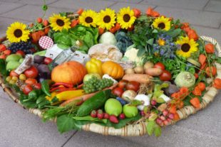 2019-9-25-NO-Angelika Kälble-Erntedank der Pfarrgemeinde St. Ulrich-P1020147