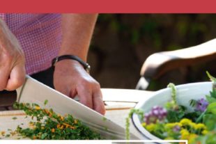 2019-9-25-OH-Tourist-Info-Kulinarische Landpartie-2019_09_20_Kulinarisch_Landpartie_Bild2