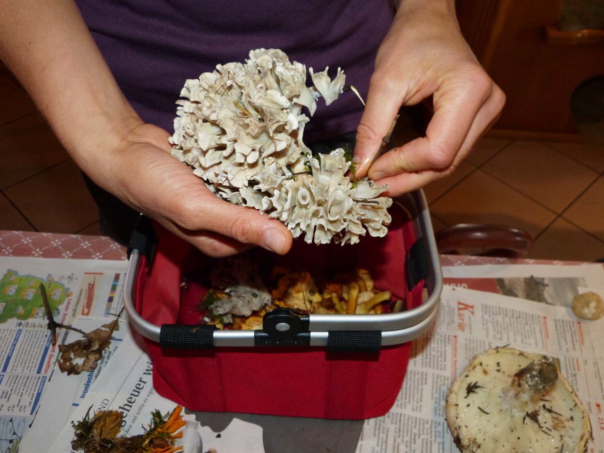 2019-9-27-ZE-UE-bia-Petersen-Pilzexkursion-u-Glucke