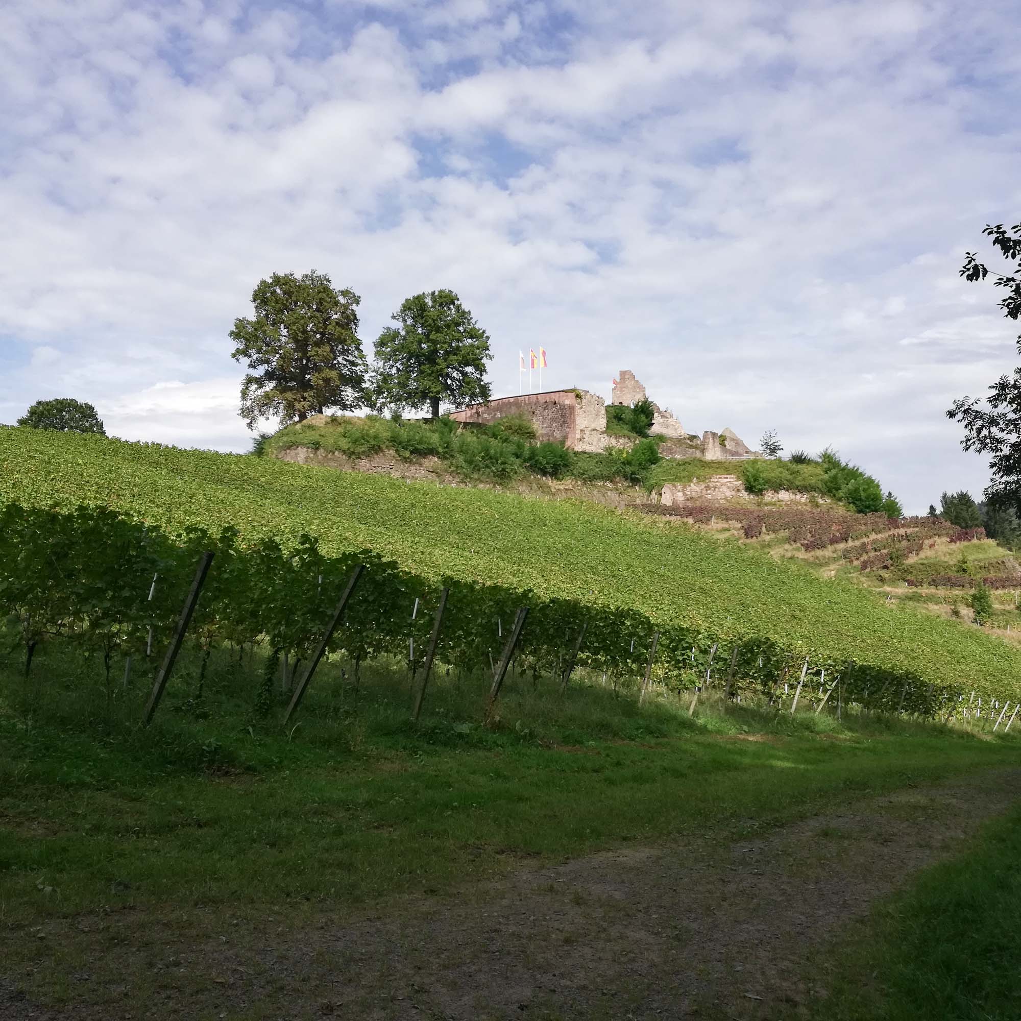 d8ac5c3e79b74580bd93d1cc51b87d66c870405519a3fa5c7b14733c1c13dacf