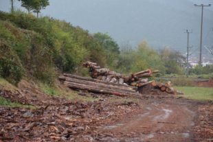 2019-9-30-BI-hps-Biberach-Gemeinderat Wald-DSC_9754 2