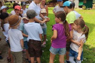 2019-9-4-ZE-UH-Zelli-Feripro Im Reich der Bienen_09.08. (2)