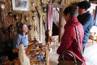 2019-9-9-BI-bia-Museumstag-Spinnen