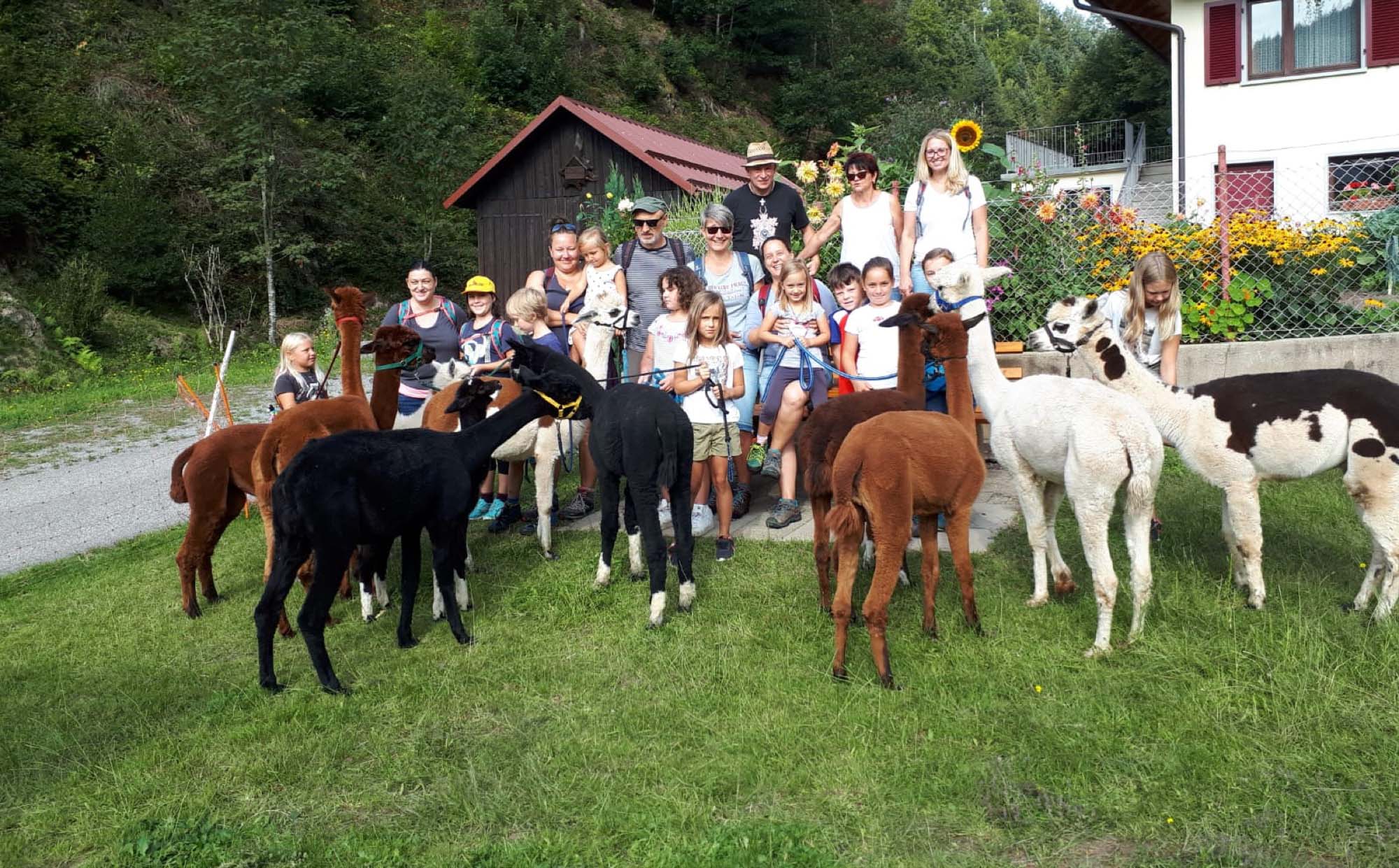 2019-9-9-NO-gwn-Feripro Alpakawanderung 2 Teilnehmer