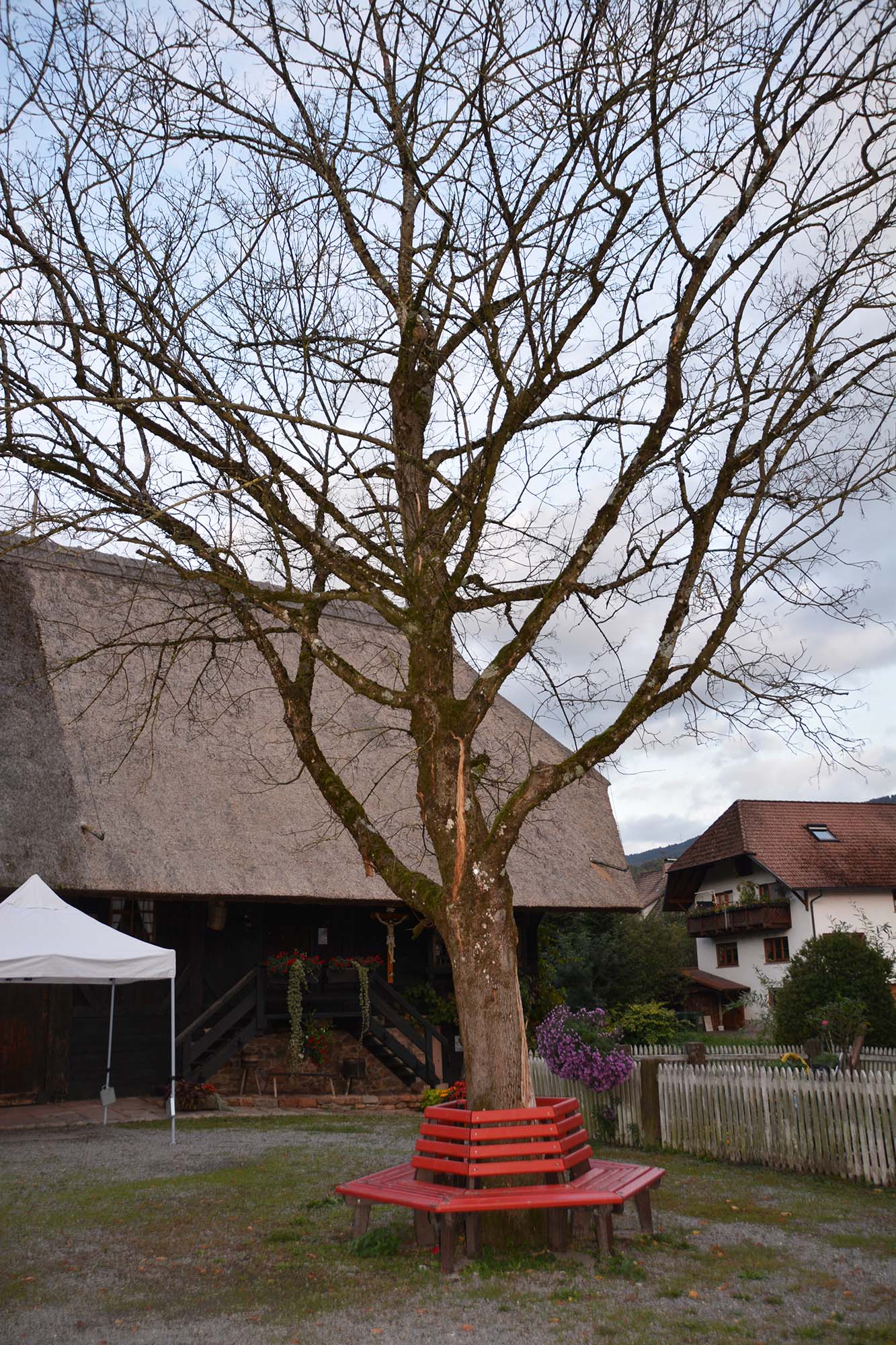 2019-10-1-ZE-UH-hps-Ortschaftsrat Unterharmersbach-DSC_9774 2