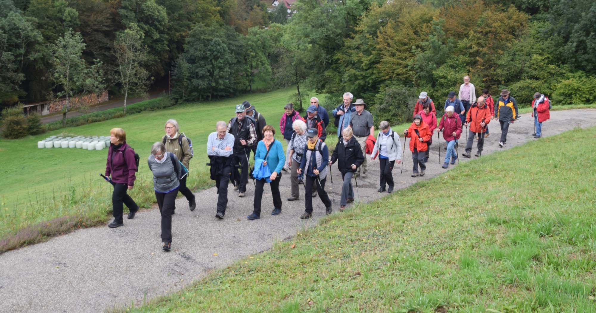 2019-10-11-NO-hv-Moospfaffwanderung-DSC_1074