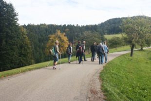 2019-10-18-NO-Michaela Neuberger-Moospfafffrühstück Mühlstein-IMG_8787 Wandergruppe gehend Moospfaff Frühstück