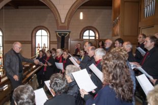 2019-10-21-OH-kal-Gallenkilwi-zvk6G0A0397