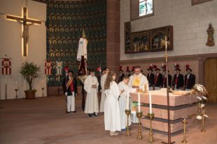 2019-10-21-OH-kal-Gallenkilwi-zvk6G0A0401