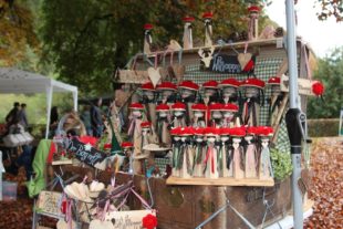 2019-10-21-OH-kal-Gallenkilwi-zvkIMG_0473b