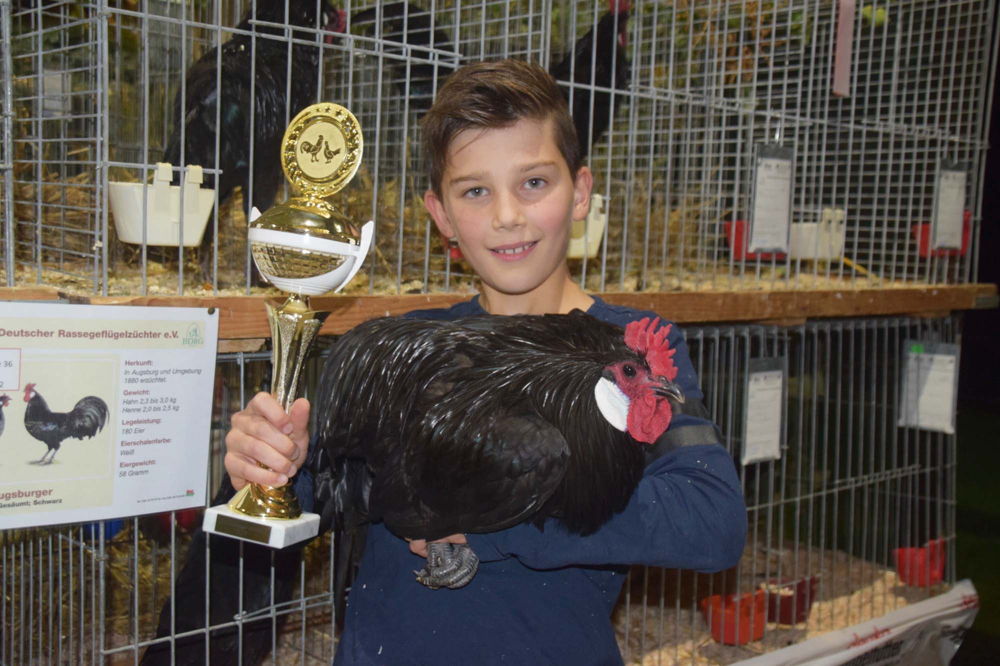 2019-10-23-NO-hv-Lokalschau-Kleintierzüchter-DSC_1165