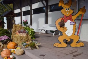 2019-10-23-NO-hv-Lokalschau-Kleintierzüchter-DSC_1174