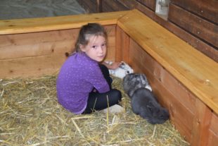 2019-10-23-NO-hv-Lokalschau-Kleintierzüchter-DSC_1181