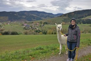 2019-10-28-OH-Tourist-Info-Alpaka-Trekking1