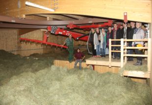 Heumilch: Gut für Mensch und Tier