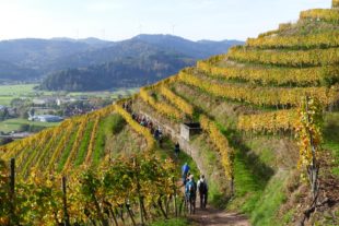 2019-10-29-NO-mh-Alpenverein-2019-10 Spez. Wanderung Schwaibach (22)