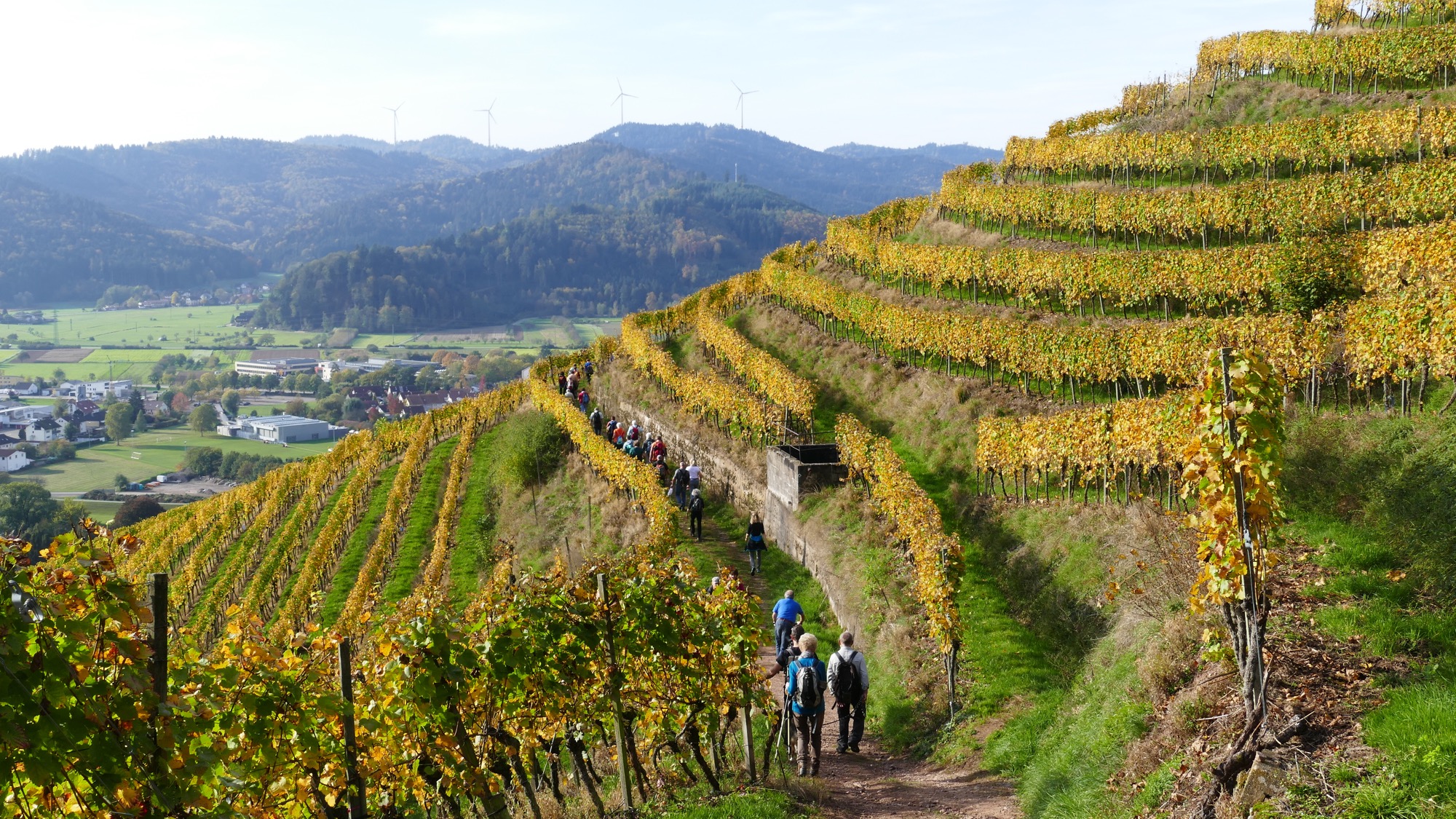 2019-10-29-NO-mh-Alpenverein-2019-10 Spez. Wanderung Schwaibach (22)