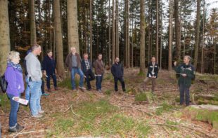 Gemeindewald für die Zukunft gerüstet