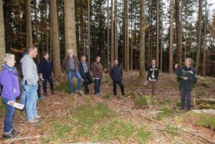 2019-10-29-OH-kal-Waldbegehung-zvkIMG_0663b