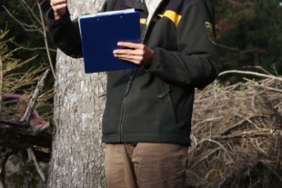 2019-10-29-OH-kal-Waldbegehung-zvkIMG_0680,jpg