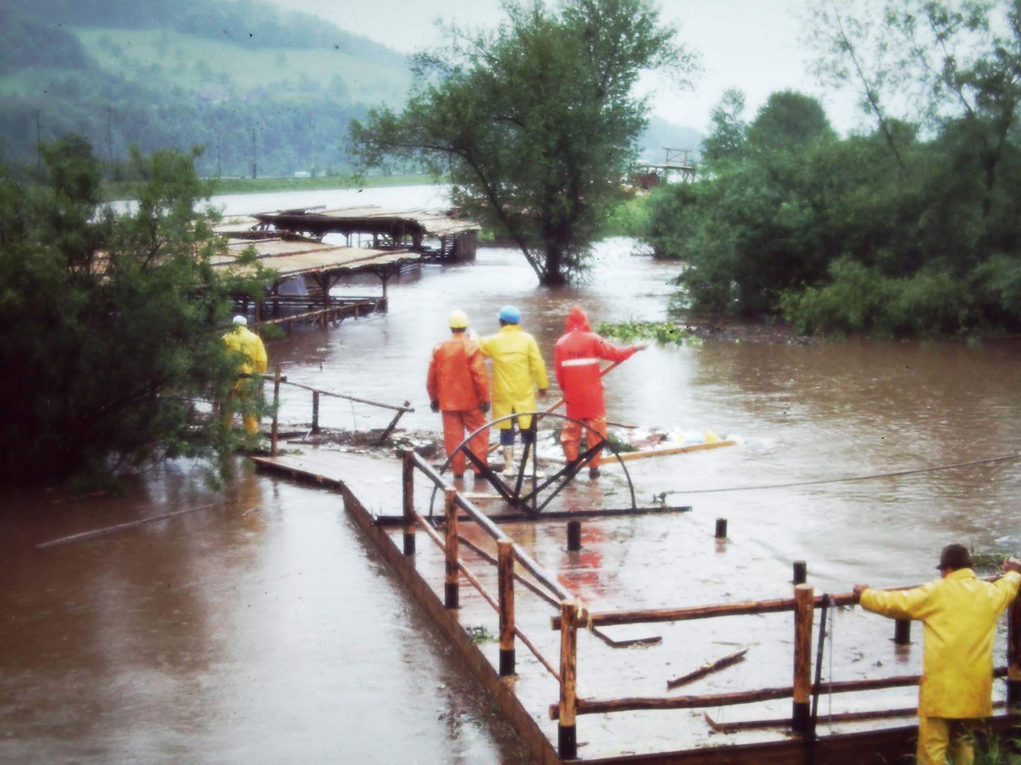 My beautiful picture