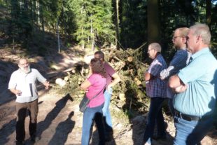 2019-10-4-NO-bia-Wald-u-Douglasienstandort