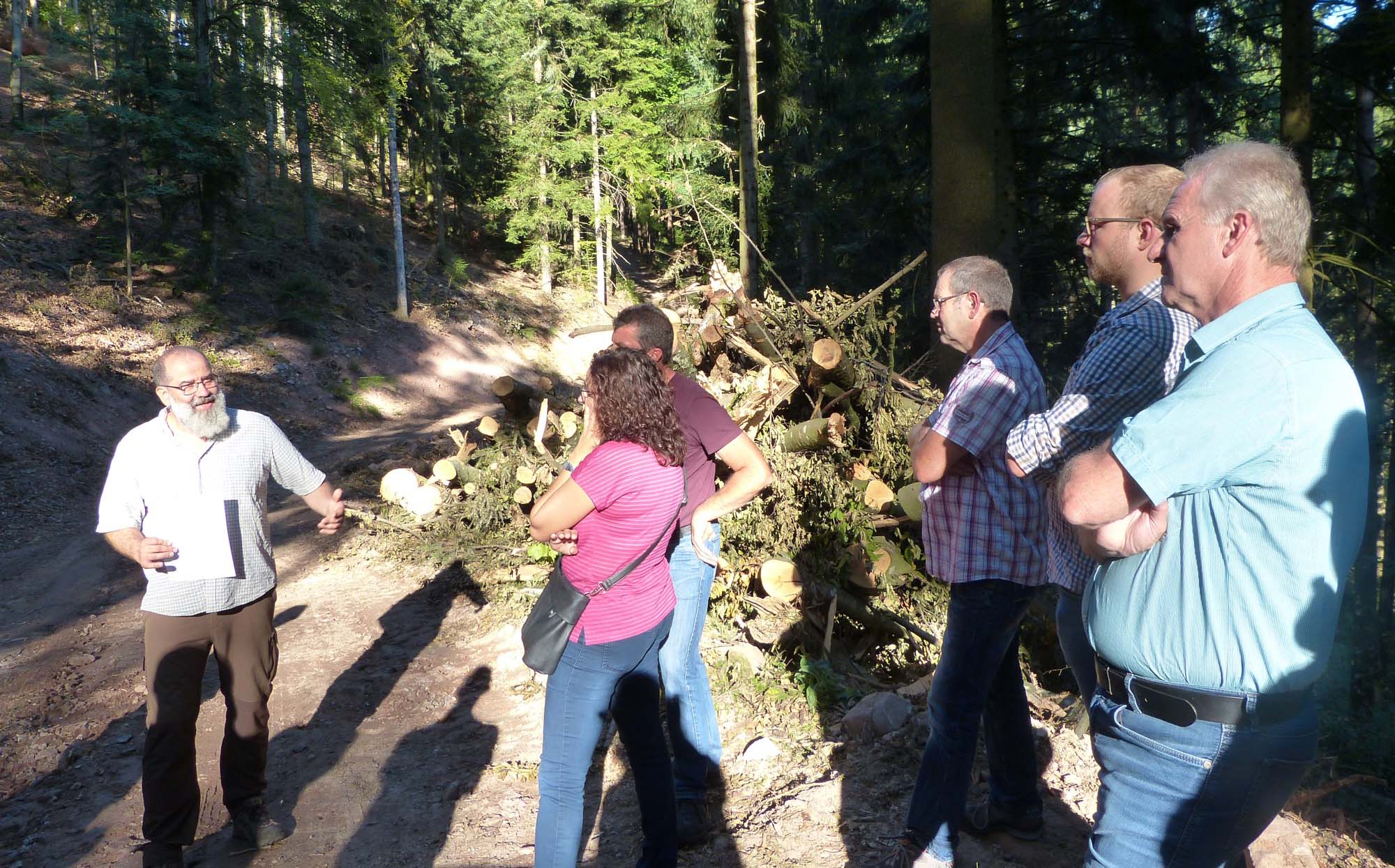 2019-10-4-NO-bia-Wald-u-Douglasienstandort