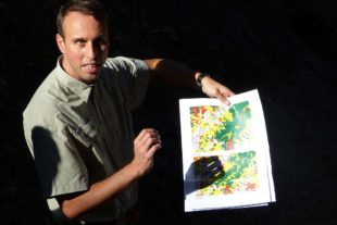 2019-10-7-NO-bia-Wald-Naturverjüngung-Springmann-u-Karte